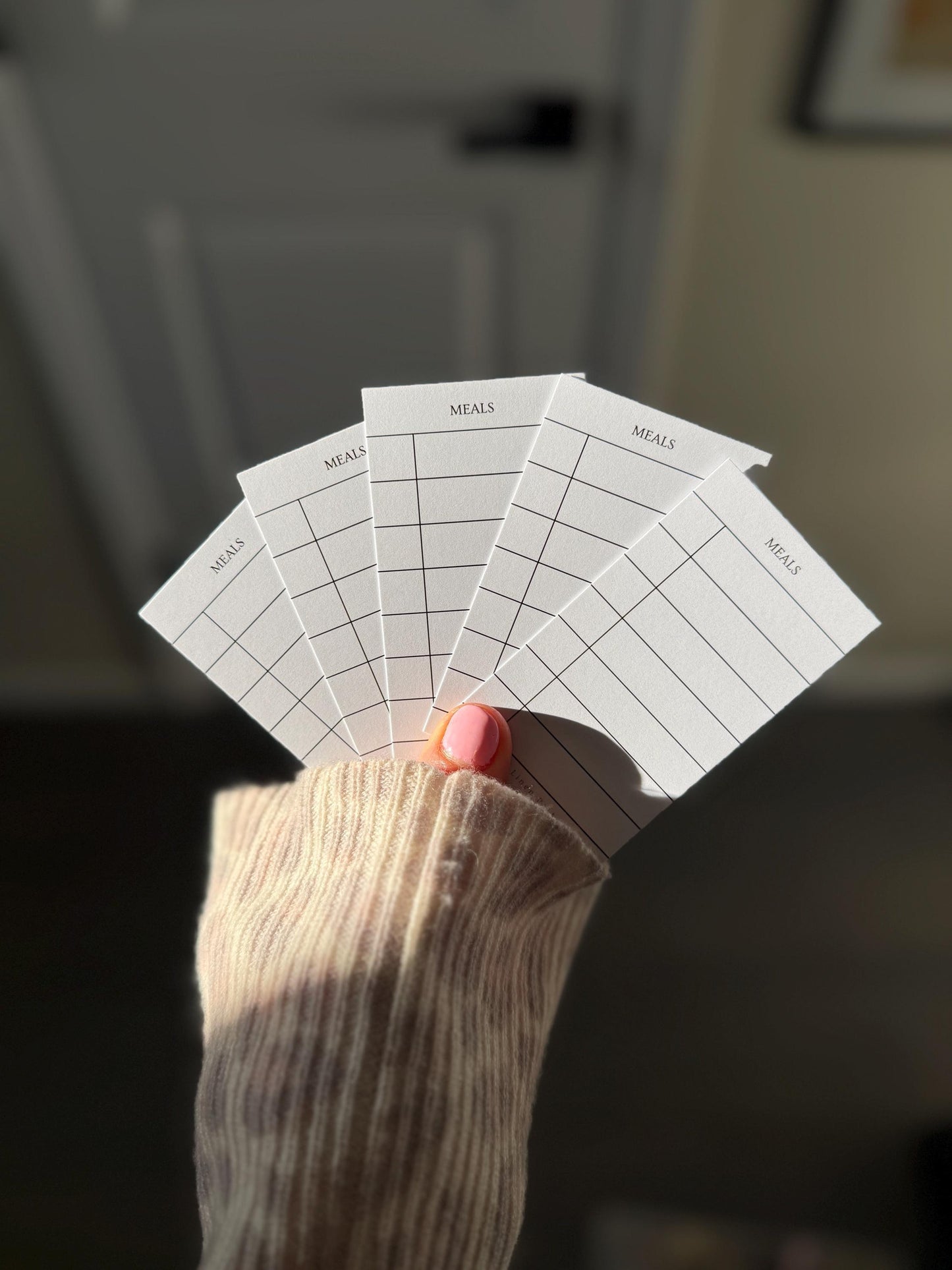 Meal Planner Cards: Pocket-Sized Inserts (Set of 10, White)